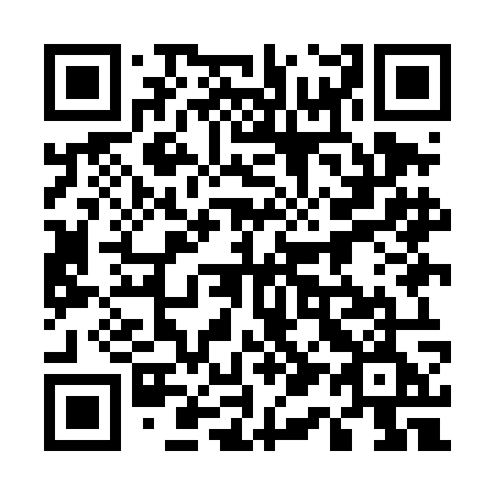 QR code for 519DOE