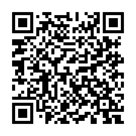 QR code for plate 533-HGG