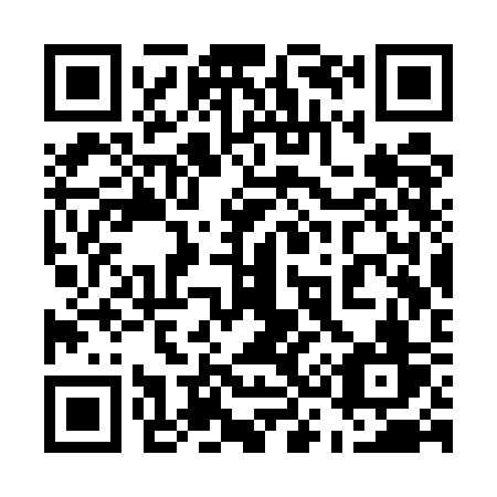 QR code for plate 533-UCV