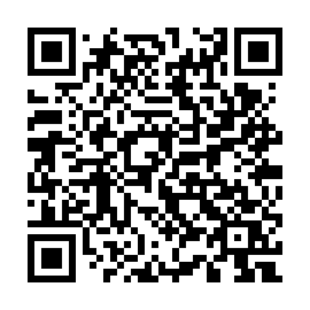 QR code for plate 533-VUS