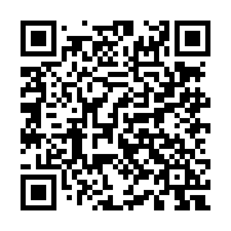 QR code for 538-LFI