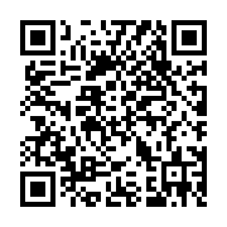 QR code for plate 538-MHS