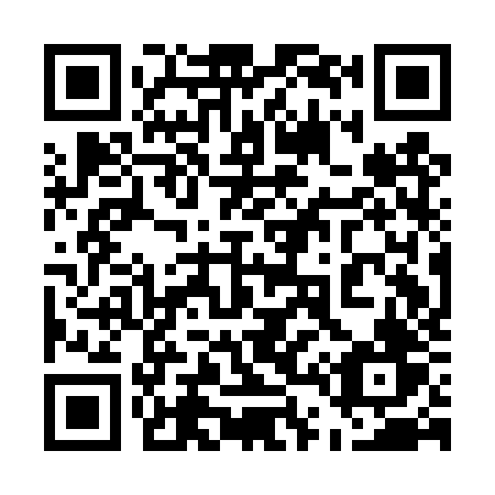 QR code for 541-DZV