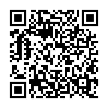 QR code for 541-QLL