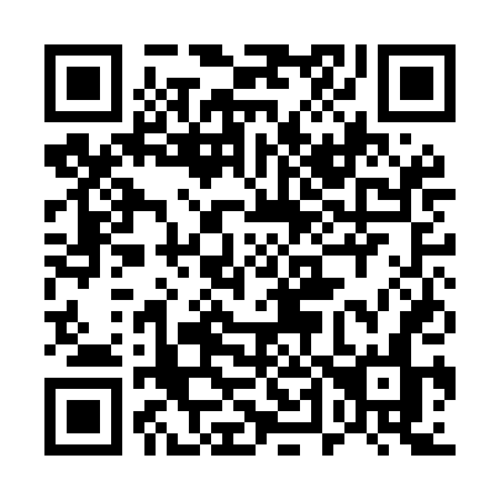 QR code for 541MDN