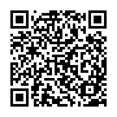QR code for 541QLM