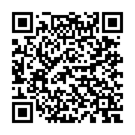 QR code for 545DFX