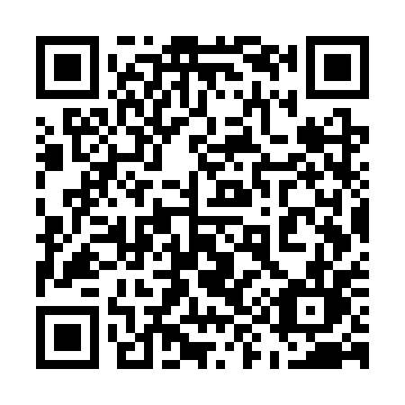 QR code for plate 597-SPL