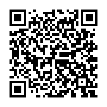 QR code for plate 597-UMM