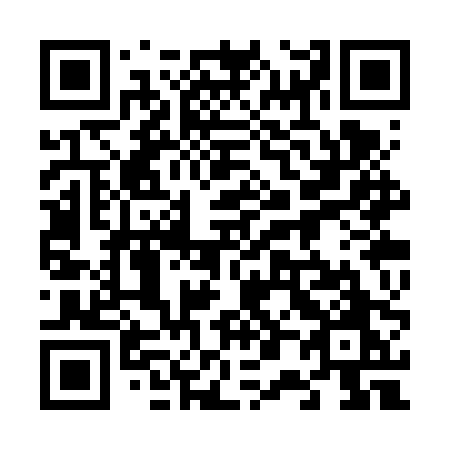 QR code for 603-VPO