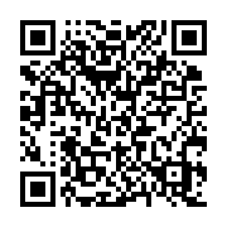 QR code for plate 607-KRZ