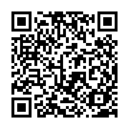 QR code for 611PPM