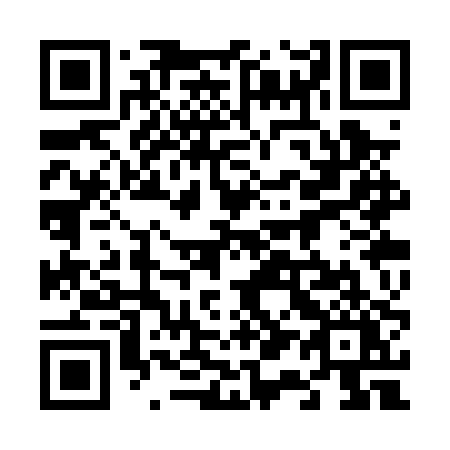 QR code for 613-PPY