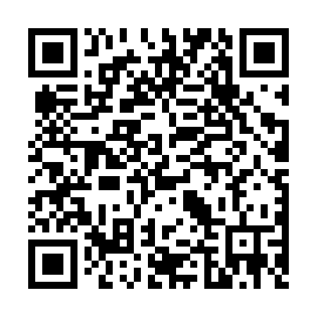 QR code for 647-FSV