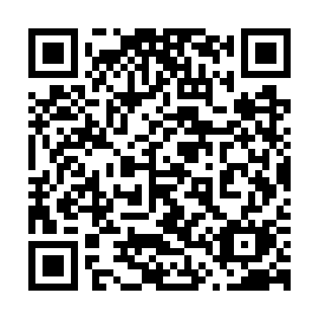 QR code for 647-WSM