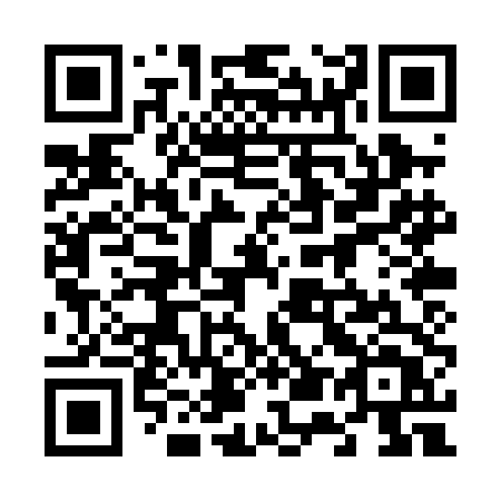 QR code for 650-PDT