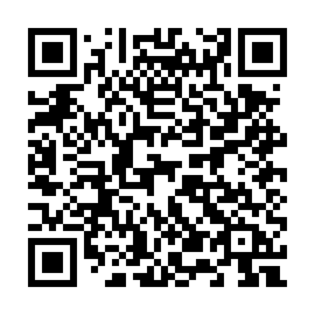 QR code for 650DUB