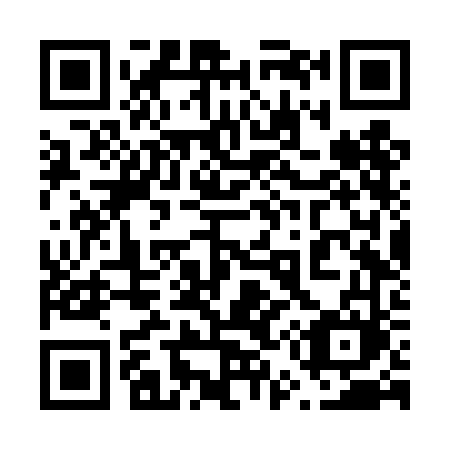 QR code for plate 656-TFM