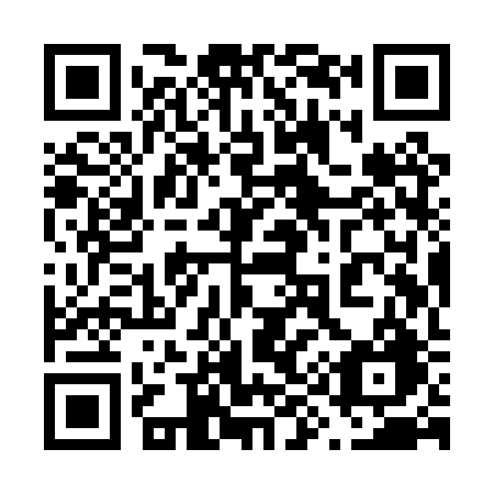 QR code for 699-PRG