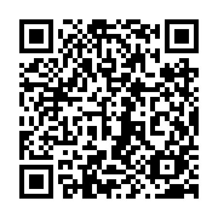 QR code for plate 699-RPM