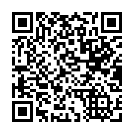 QR code for plate 700-YBT