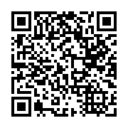 QR code for 738IOD
