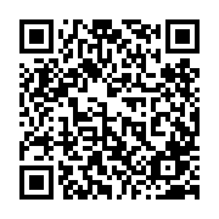 QR code for plate 838-DHV