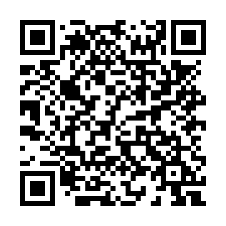 QR code for plate 838-NUE