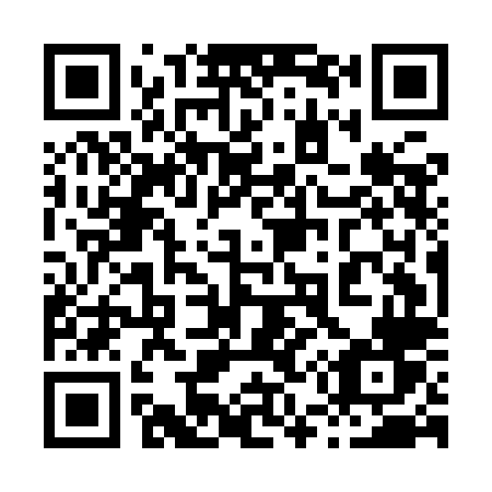 QR code for plate 855-ILV