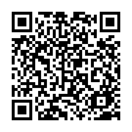 QR code for 856-MEG