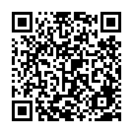 QR code for plate 856-DDF
