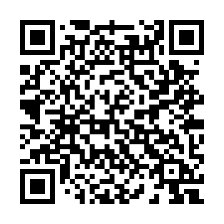 QR code for 863-PYB