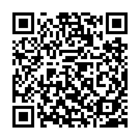QR code for 901-WII
