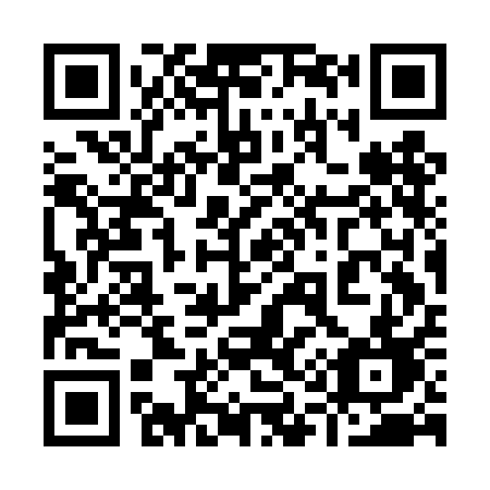 QR code for plate 913-DAD
