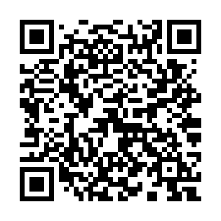 QR code for 916-WSI