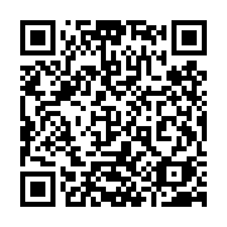 QR code for 919-DSI