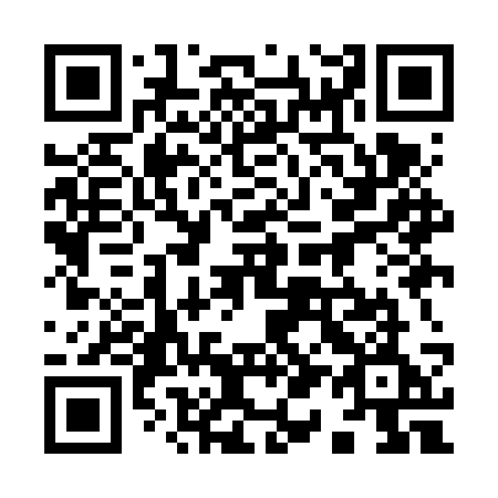 QR code for 919-FSE