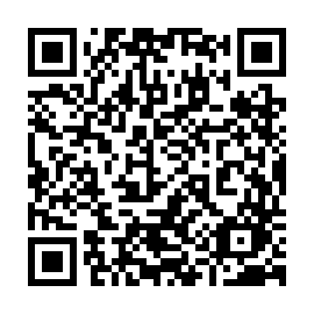 QR code for 919-SDO