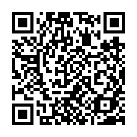 QR code for 919-VXI