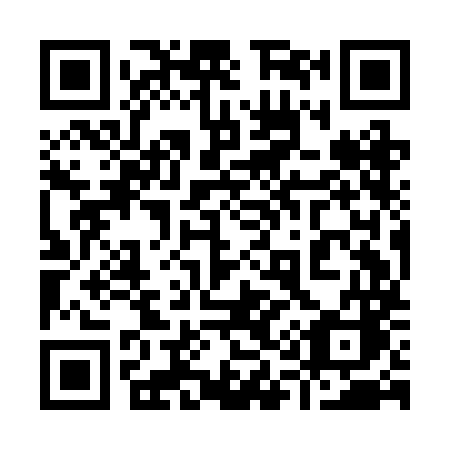 QR code for plate 919-BMC
