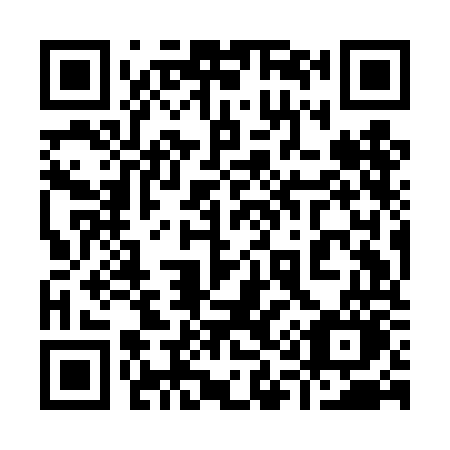 QR code for plate 919-DOO