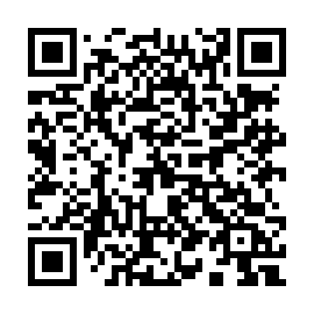 QR code for plate 919-LFC