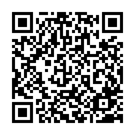 QR code for plate 919-MXV