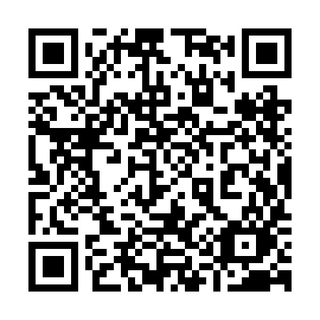 QR code for plate 919-RIO