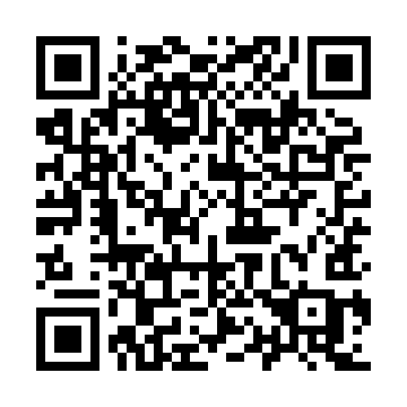 QR code for 919XIC