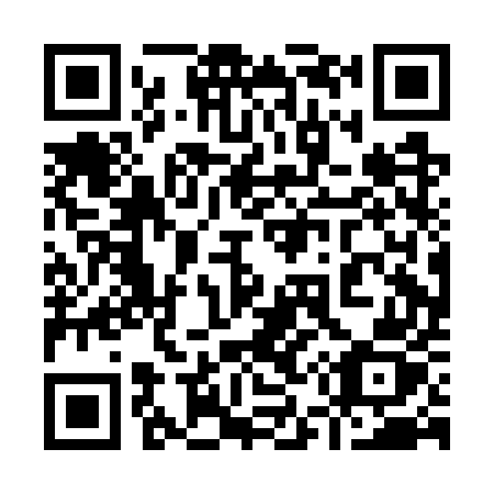 QR code for 950GUZ