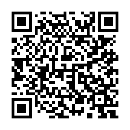 QR code for plate 953-NNN