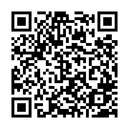 QR code for plate 963-ELR