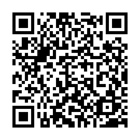 QR code for plate 963-QSR