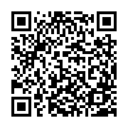 QR code for plate 969-STR